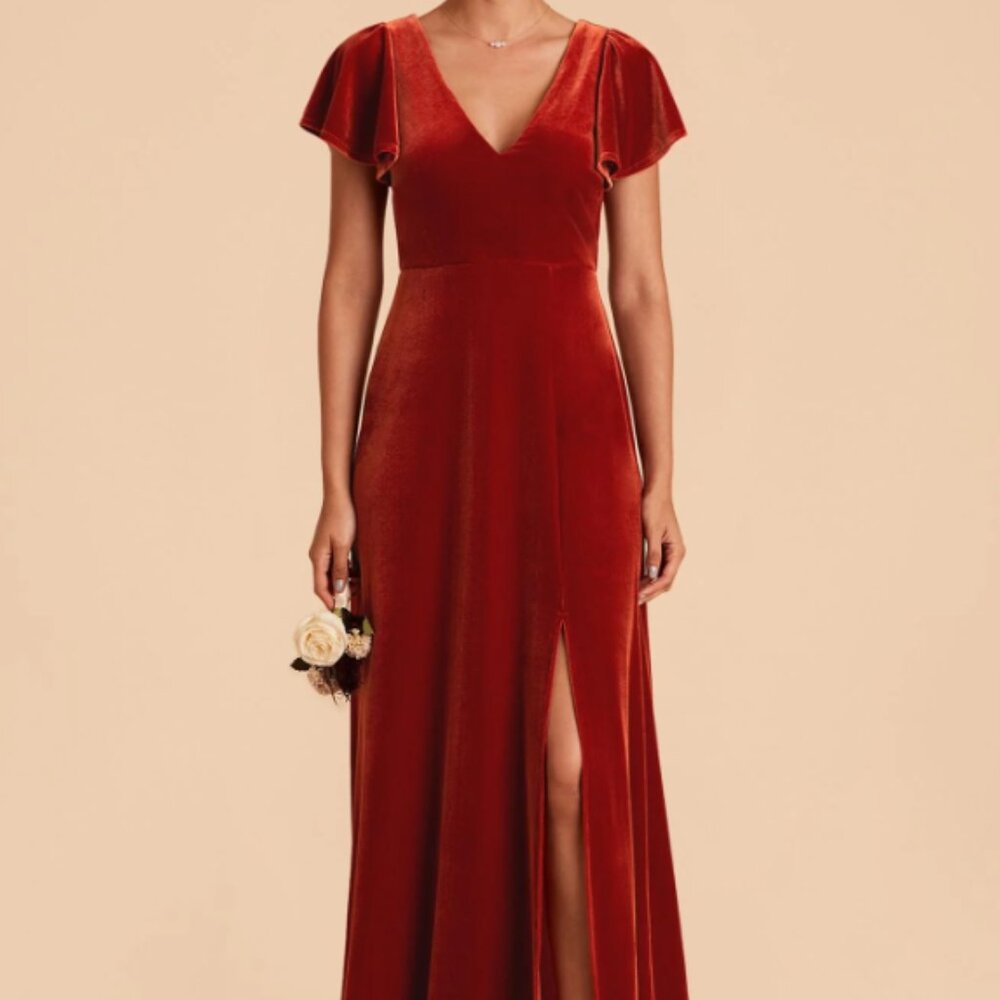 Birdy Grey Hannah Dress - Burnt Orange Velvet